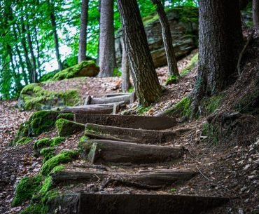 Finding a Safe Path to Recovery with 12-Step Programs Finding a Safe Path to Recovery with 12-Step Programs