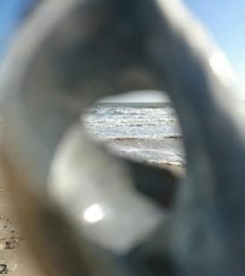 Borderline Personality Disorder: A Personal Reflection - By Amelia.