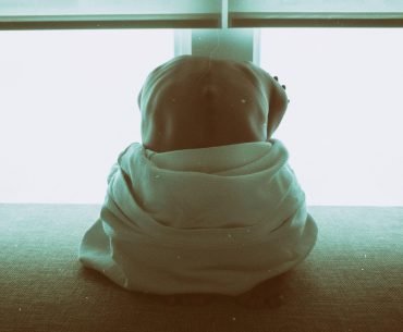 Recovery From Toxic Trauma Bonding