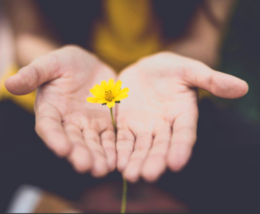 Emotional Safety - What Does It Really Mean?