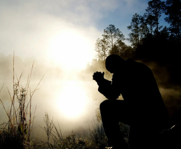 Step 7: Embracing Humility and Change