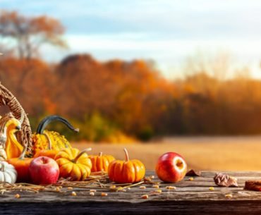 Gratitude, Holiday Challenges, and Nightcapjournal