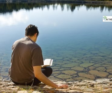 One Step at a Time: How the AA Big Book Helped Me Heal
