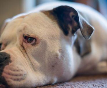 The Surprising Gift of Boredom in Recovery