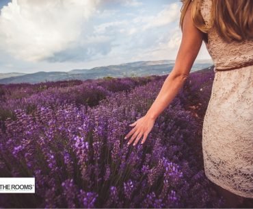 The Quiet Storm of Narcissistic Abuse The Quiet Storm of Narcissistic Abuse