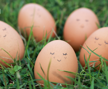 What Easter Can Teach Us About Healing What Easter Can Teach Us About Healing
