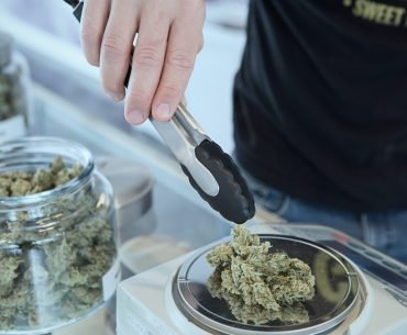 Car Crash Deaths Involving Cannabis on the Rise