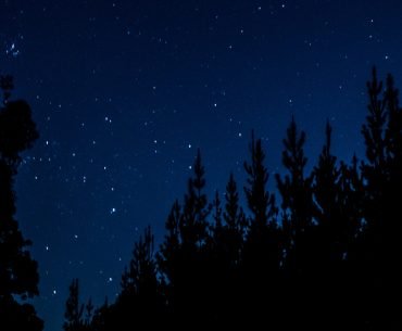 My Journey with Addiction and Autism