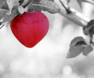 Lessons In Love - By Nicola O’Hanlon
