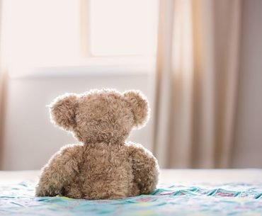 From the Love of A Child…The Teddy Bear…(Series #2)