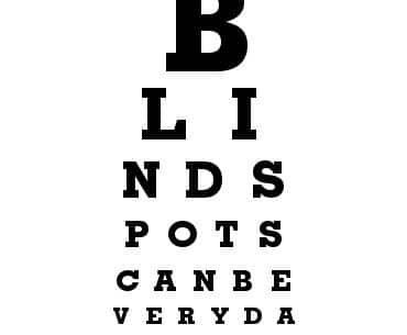 What’s In Your Blind Spot? - By Tsgoyna Tanzman