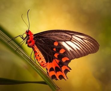 Transformation is a Journey
