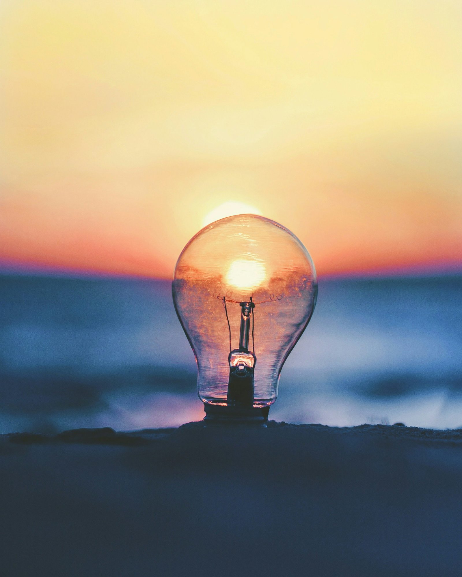 Photo by ameenfahmy on Unsplash