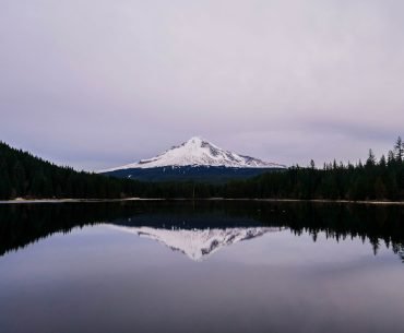The November Summit: Weight Loss Surgery, Anger Management and Dating in Recovery