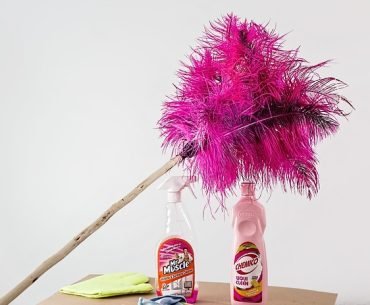 Life Needs Tidying - By Tsgoyna Tanzman