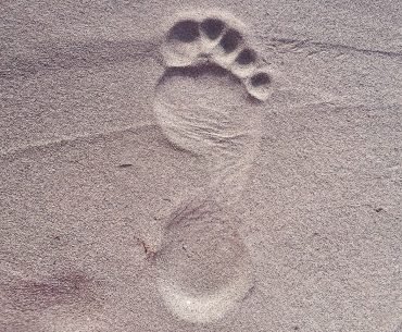Little Steps - By Ryan Michael Sirois