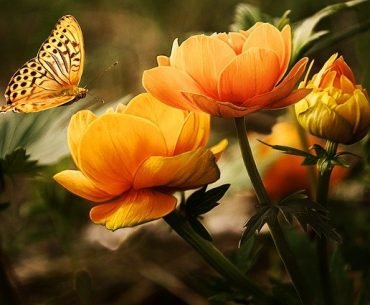 How Gardening Can Help You Heal During Addiction Recovery How Gardening Can Help You Heal During Addiction Recovery