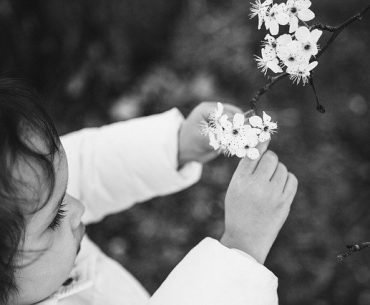 My Whole Self - From Childhood Combat to Adult Peace