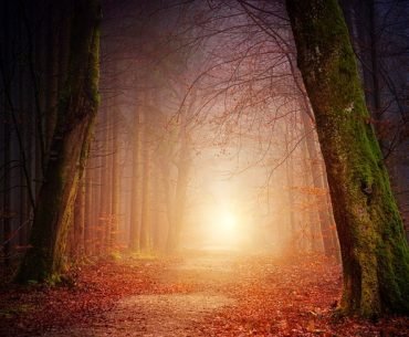 Blazing Your own Path in Recovery - By Daniel Wittler