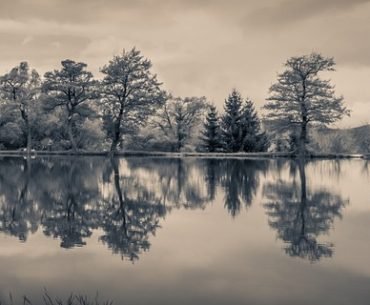My Twenty Year Recovery Without Meetings