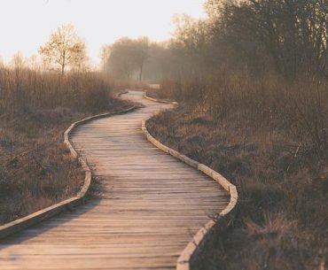 The Beauty of Multiple Pathways of Recovery
