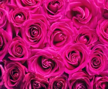 Galentines Day & Becoming Juliet!