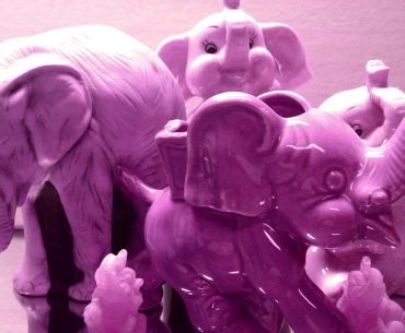 Pink Elephants, But No Snakes in My Boots - Mark Masserant
