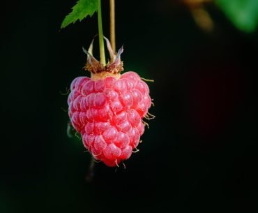 Could Freeganism Be A Part Of Your Addiction Recovery?