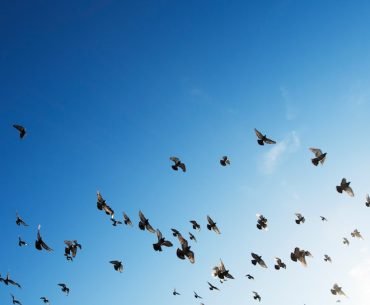 What It Really Means to Be Vulnerable