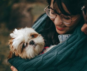 Pets and Recovery: The Basics